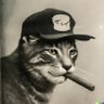 Profilbild von Don Gato