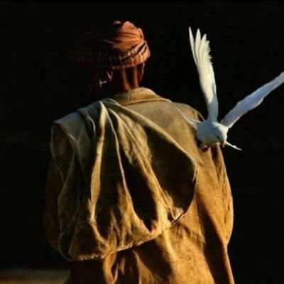 Mürşid's profile picture