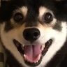 ゆういち 的头像