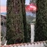 pasmanipulépasaveugle profil fotoğrafı