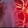 Фото профиля Kalp Krizleri (Heart Attacks)