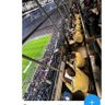 #Mufc 的头像
