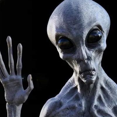 renegade_FARID's profile picture
