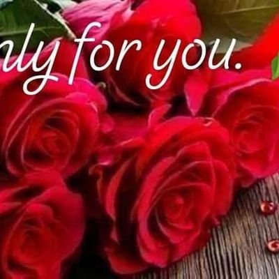 Salam14484153's profile picture