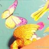 ✝️Little Loser 小魚仔✝️'s profile picture
