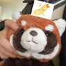 Profilbild von れさ(最強)