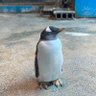 むろ 的头像
