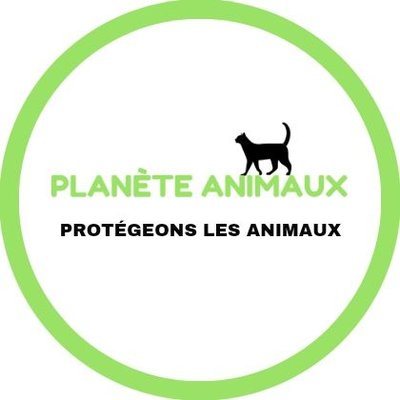 animaux_planete's profile picture