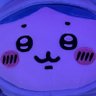 Profilbild von ぺろち(ت*)🌱