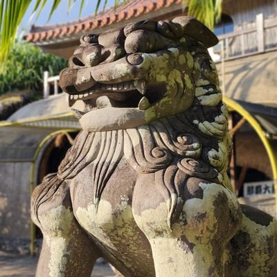 沖縄 琉球村 Ryukyumura's profile picture