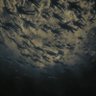LostnNotFound's profile picture
