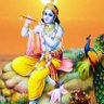 Hare Krishna 的头像