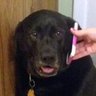 Croooooooow!'s profile picture