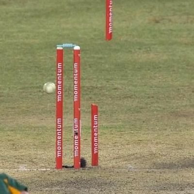 Cricket Comps's profile picture