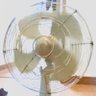 senpu-ki🍀༄ profil fotoğrafı