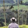 Фото профиля Cristian Orlando Diaz
