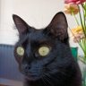 Edgar 的头像