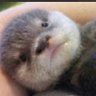Profilbild von ATCHINN