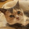 точно не олег profil fotoğrafı