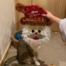 のりサブ 的头像