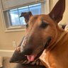 Profilbild von sadie sue