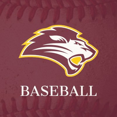 FHU Lions Baseball's profile picture