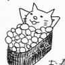 ネギトロ's profile picture