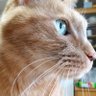 yuppy profil fotoğrafı