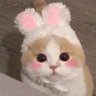 Profilbild von ๅฐlin๐จ๐ณ