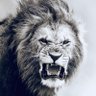 John Rage's profile picture