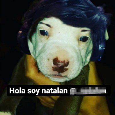 Natalan's profile picture