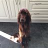 Bernard's profile picture
