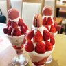 こっこ 的头像