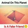 Asante Krɔbɔ profil fotoğrafı