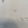 Xil L profil fotoğrafı
