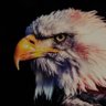 Rich_dollar's profile picture