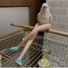 么拐貳 profil fotoğrafı