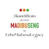 SkandiBeats's profile picture