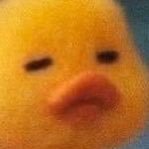 hsufhkshndk11's profile picture