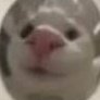 Profilbild von BooBii