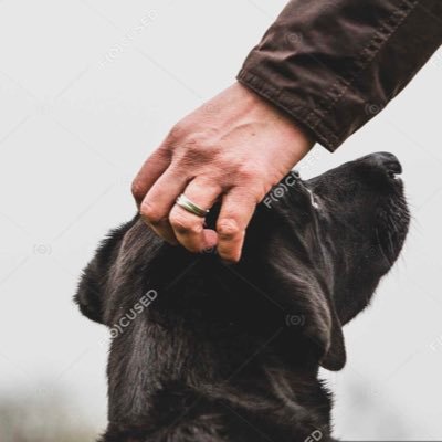 IngrameThomas's profile picture
