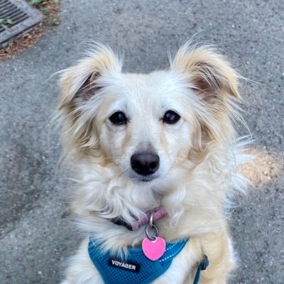 RichWaltz's profile picture
