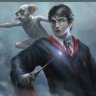 TheBoyWhoLived profil fotoğrafı