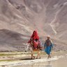 تواقة profil fotoğrafı