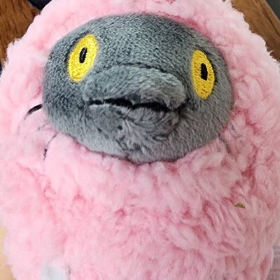 이터's profile picture