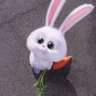 blu 🌙🐰 profil fotoğrafı