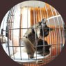 【猫の耳】暗黒《洗剤漂白中》's profile picture