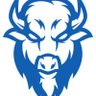 bisontesazules 的头像