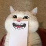 Profilbild von Iyas