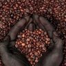 tamu tutu's profile picture